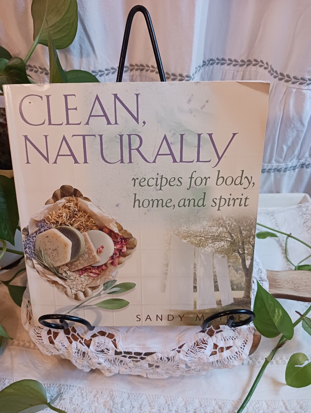 Clean Naturally Recipes For Body Home & Spirit By Sandy Maine 2001 Vintage Book